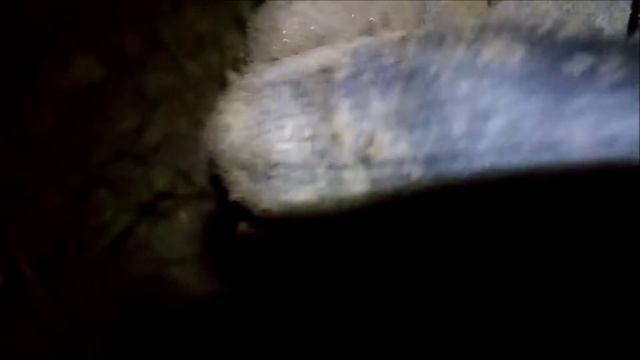 Sondeln In Österreich. Коп №35. Интересные находки по старине. Линц. Австрия.