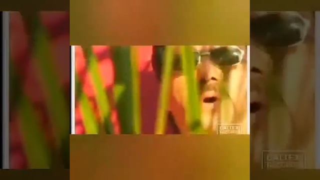 Муин (махур гами гузаште...) 2020