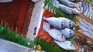 Поездка от Стамбула до поселка Шила и пробуем местную рыбку