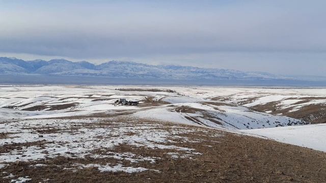 Тай бәйге, Қордай, Күнбатыс-1, 31.01.2021. смотреть онлайн