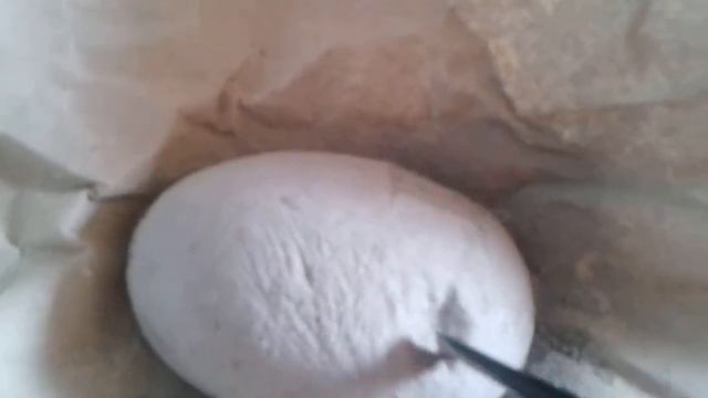 Раскопки скелета динозавра 1/6 часть смотреть онлайн