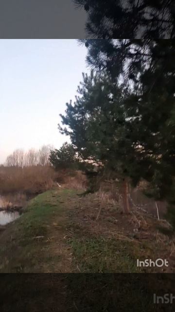 Апрель , пруд, природа, закат, весна и прекрасная мелодия.mp4 смотреть онлайн