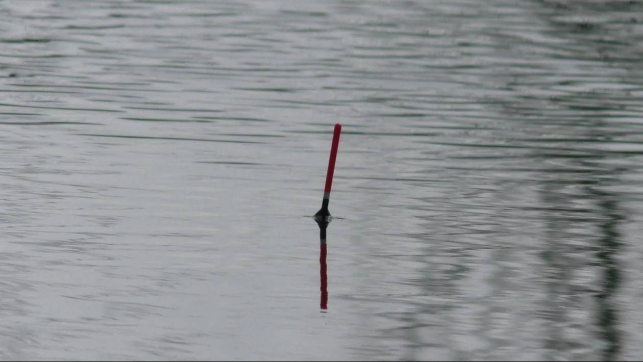 Только закинул поплавок и сразу потащило. Рыбалка весной на поплавок смотреть онлайн