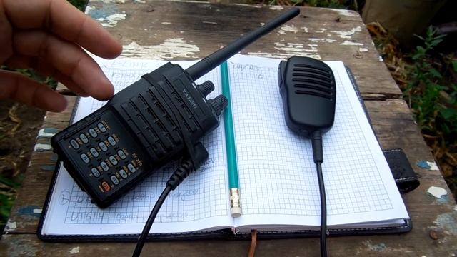 Мои впечатления от эхолинка на даче... смотреть онлайн