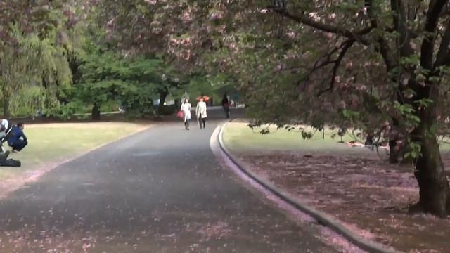 Япония. Апрельская прогулка по токийскому саду Синдзюку 25/04/2015..