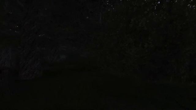 All screams, moans and howls from S.T.A.L.K.E.R. смотреть онлайн