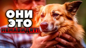 Не делай это своей собаке! УЖАСНЫЕ Ошибки хозяев!