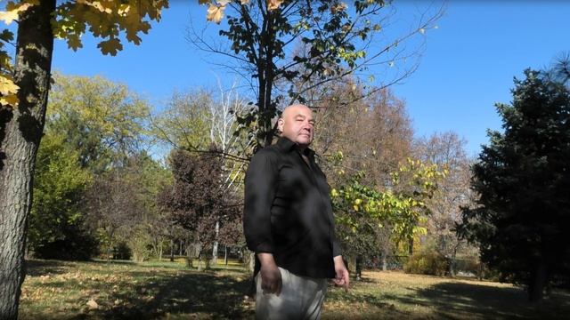 Не сжигайте листья - Анатолий Гаврильченко. Мой шансон смотреть онлайн