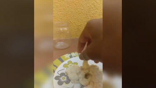 Micro Worm Culture In 𝗕𝘂𝗻 / How To Culture Micro Worm In(தமிழ்)see Discretion For Micro Worm Seller