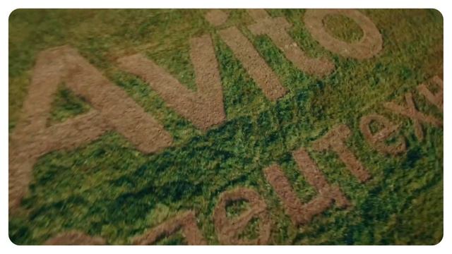 Дело спецтехники 2024