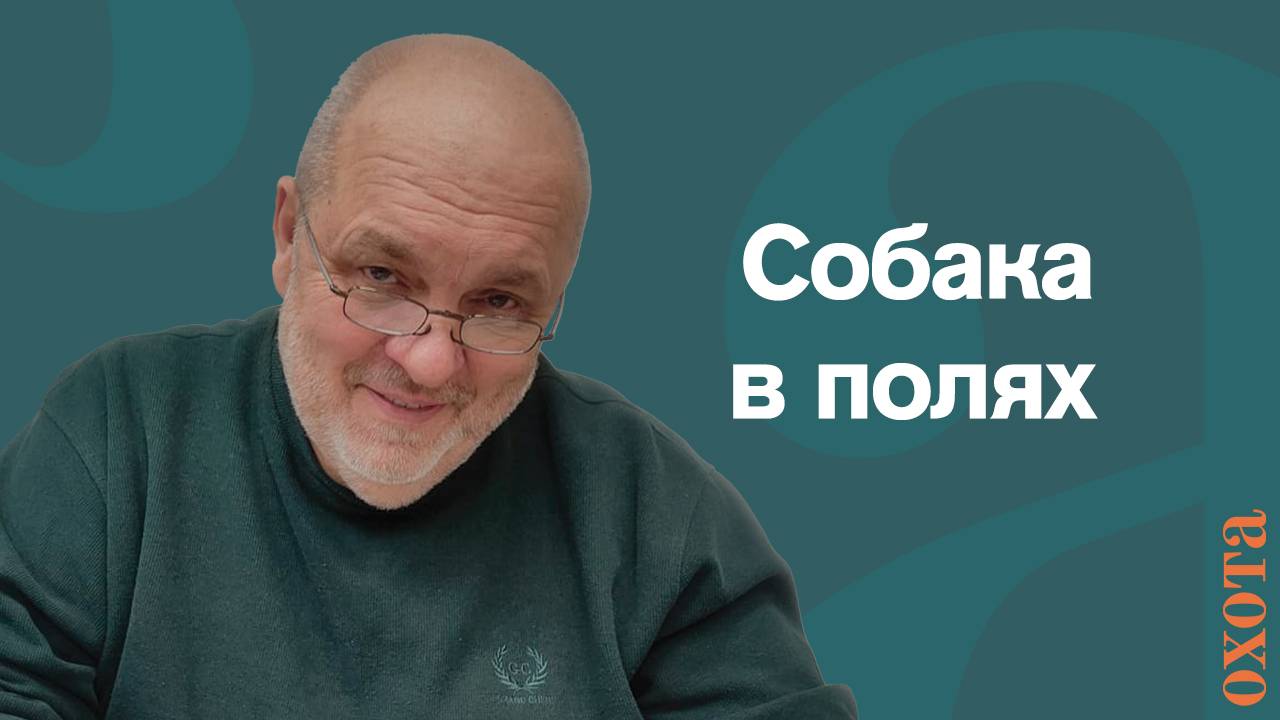 Собака в полях. Валерий Кузенков о выгуле собак в охотугодьях. смотреть онлайн