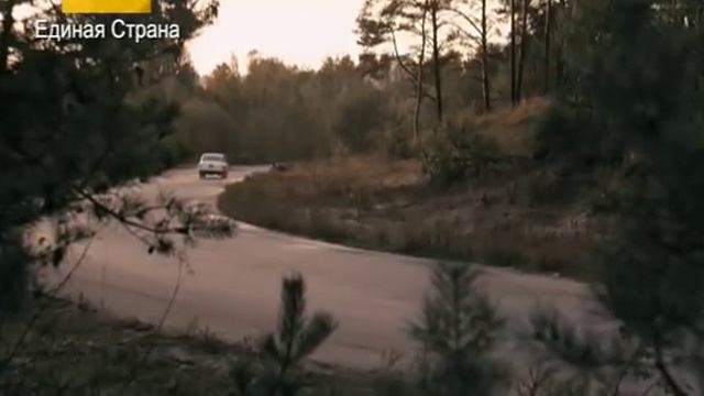 Дом с лилиями 11 Seriya 2014