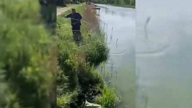 Всяка риба гарна, коли на гачок іде!😍 смотреть онлайн