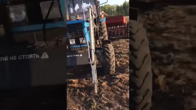 Посев ячменя 2021 смотреть онлайн