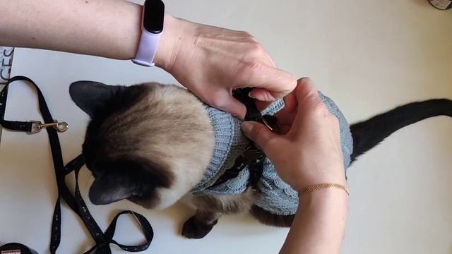 Интересное рядом с нами