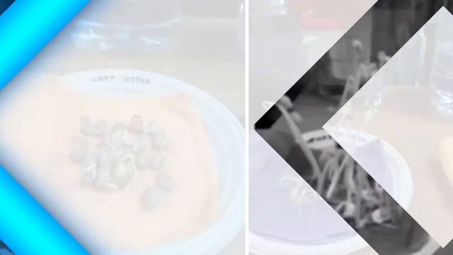 Кувшин Граф идеальный фильтр для полезной воды смотреть онлайн