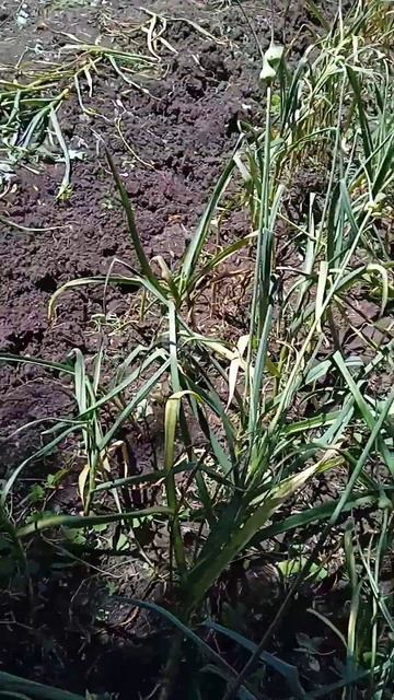 4 августа 2022 г. смотреть онлайн