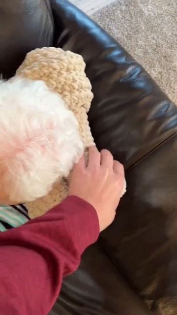 Granny got a pillow to go with her favorite blanke смотреть онлайн