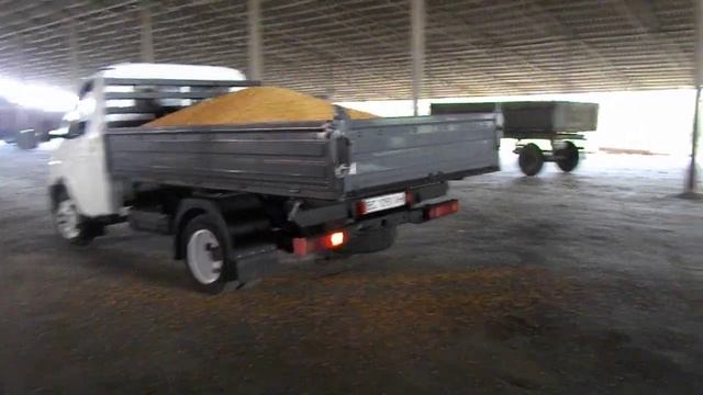 газель смотреть онлайн