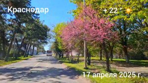 Краснодар - Поездка по городу - 17 апреля 2025 г.