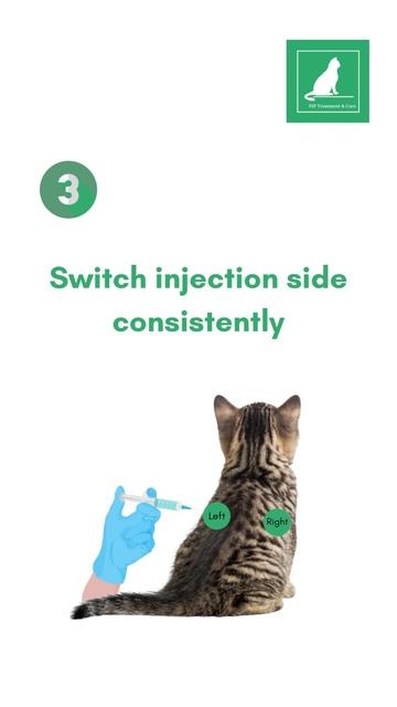 Post injection inflammation // FIP CAT// Subcutaneous Injection смотреть онлайн