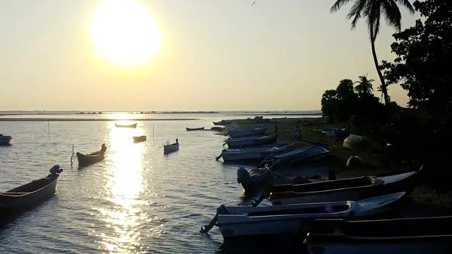 TRAVELING TO SRI LANKA! | Sri Lanka - Heart of the Indian Ocean | Sri Lanka by Drone смотреть онлайн