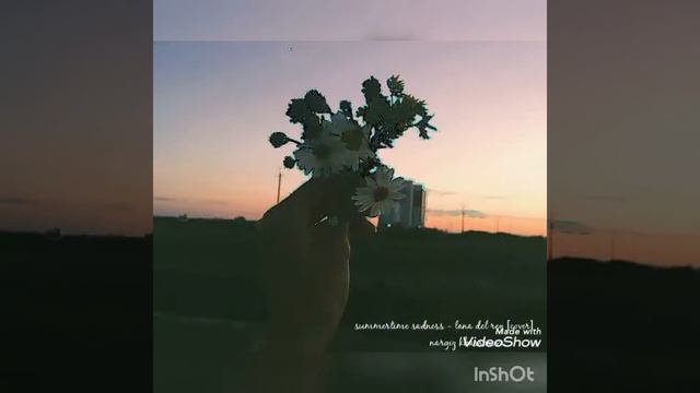 summertime sadness - lana del rey ~cover acoustic~ nargiz khassenova смотреть онлайн