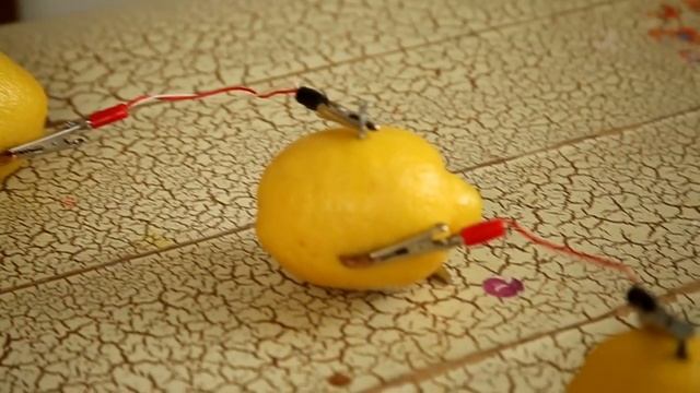 How To Light a Bulb With Citrus Fruit - Science Fair Experiment смотреть онлайн
