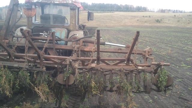 Культиватор для сплошной обработки почвы МТЗ-80 часть 2 смотреть онлайн