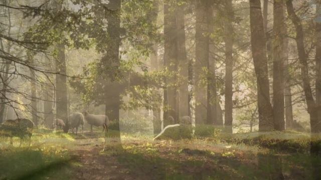 Расслабляющая музыка леса смотреть онлайн