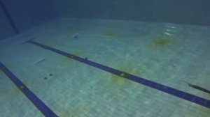 Тестирование подводных ружей