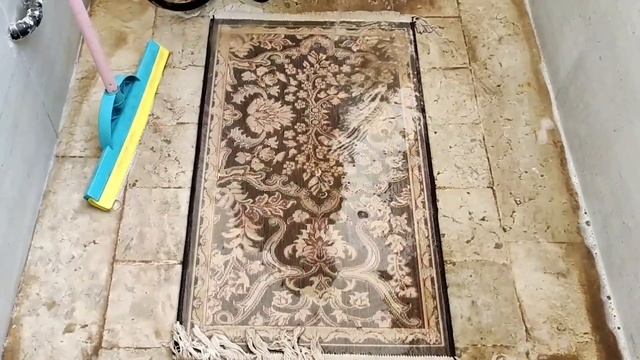 BEST DIY CARPET CLEANING ASMR | Enojy DAILT CARPET WASHING