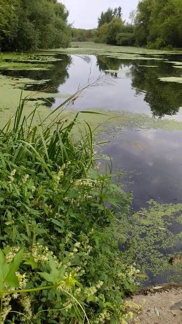 Река Дон. От истока до моря. Данный участок реки находится в г. Епифань (1586г.), Тульской области. смотреть онлайн