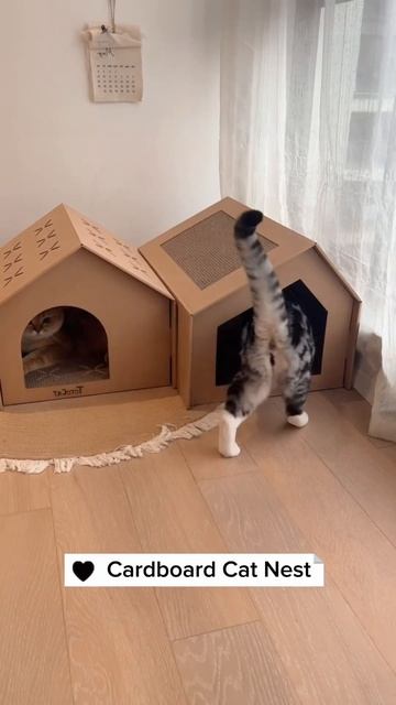 Cardboard cat nest, link is on bio #cat #petkit #petsupplies смотреть онлайн