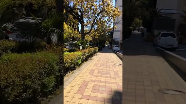 Сочи. Онлайн прогулка по центру. 28 апреля 2020 смотреть онлайн