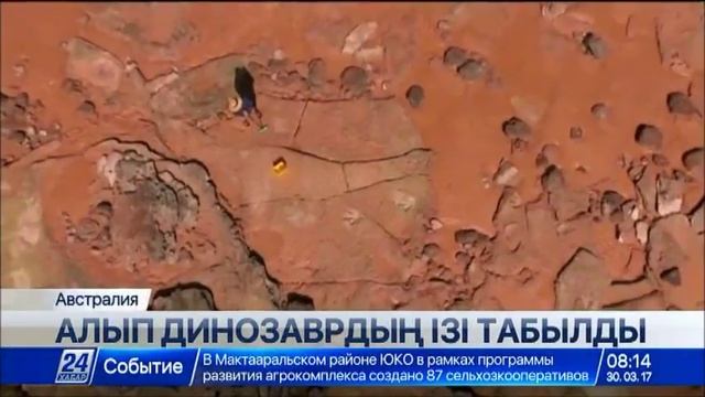 Австралияда динозавр табанының әлемдегі ең үлкен ізі табылды