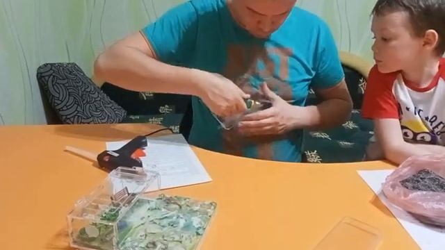 Муравьиная ферма (Формикарий) своими руками