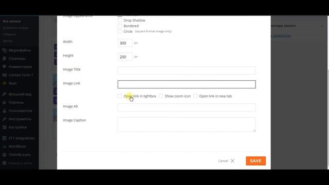 Как сделать запись с помощью Themify builder смотреть онлайн