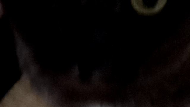 Знокомство