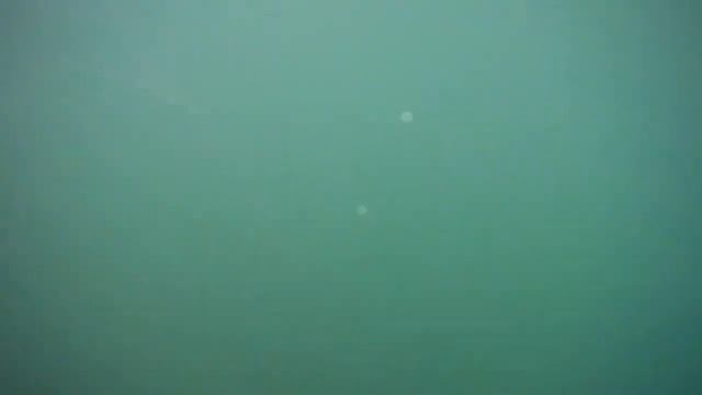 Купаемся вместе с медузой смотреть онлайн