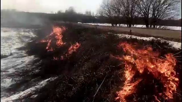 с.Ивановка,Выжигание  обочины дороги.
