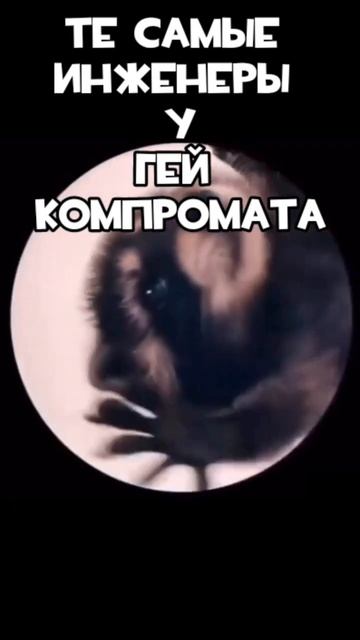 Енот Педро Педро Педро #teamfortress2 #pootis #fypyoutube #педроенот #mge #tf2 #engineergaming смотреть онлайн