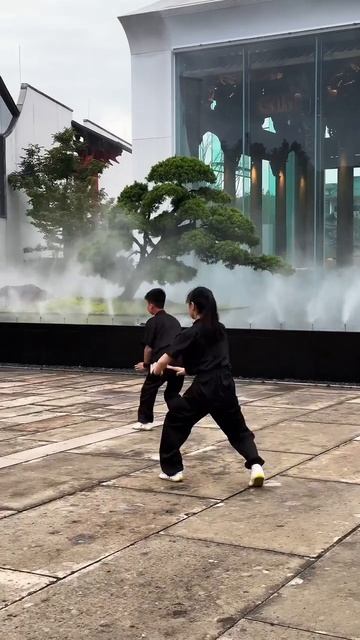 Боевые искуства Китая (177) смотреть онлайн