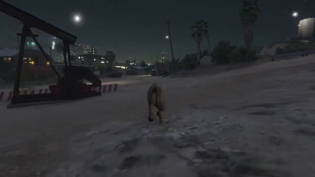 GTA 5 Easter Egg PS4 Xbox One Peyote Location 8 Mountain Lion Gameplay смотреть онлайн