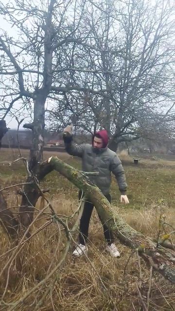 звук свіжого дерева засохша яблюня папірка смотреть онлайн