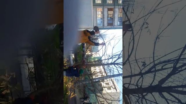 шапка друга смотреть онлайн