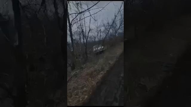 Мобилизация.mp4 смотреть онлайн