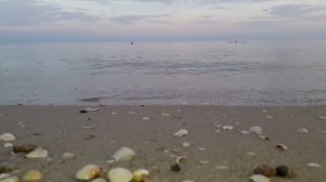 Азовское море с. Урзуф