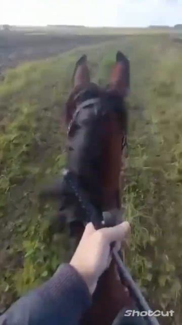 Зарядка перед школой смотреть онлайн