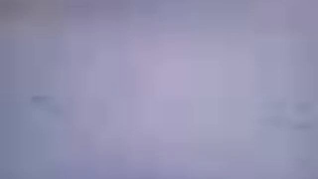 охота на лису http vk com id73270322 смотреть онлайн